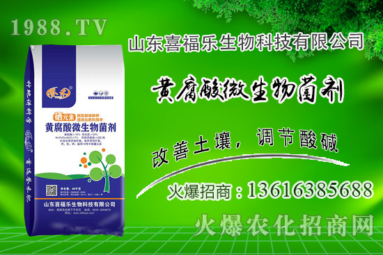花生價格穩(wěn)中偏強!2020年10月14日花生價格行情分析