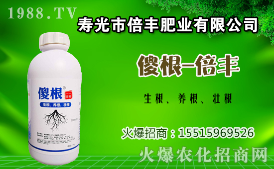 ӷNֲԓʩӵĻc׷ʷ