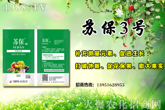 Sϑ(yng)ԓʲôr(sh)ʩʣSϵ׷ʩõ3(g)`^(q)