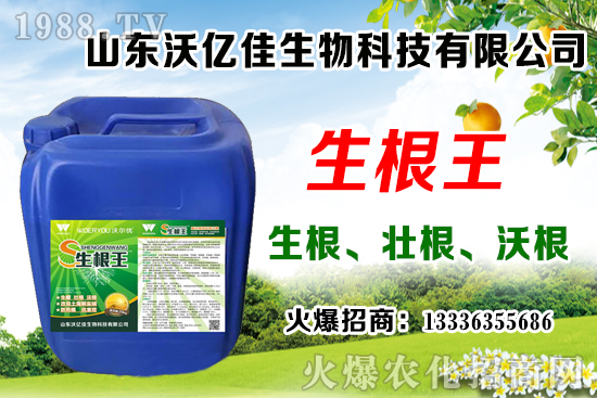 Ӱ푲ݮѿֻЩݮѿֻcֲҪc(din)