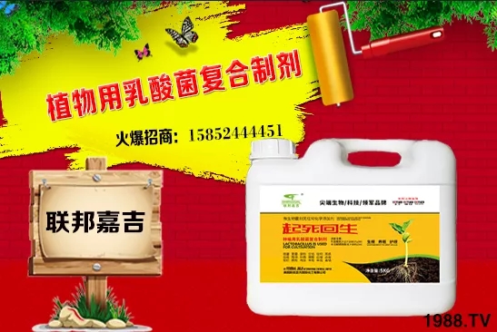 大蔥生長條件有哪些?大蔥需肥特點及秋季管理!