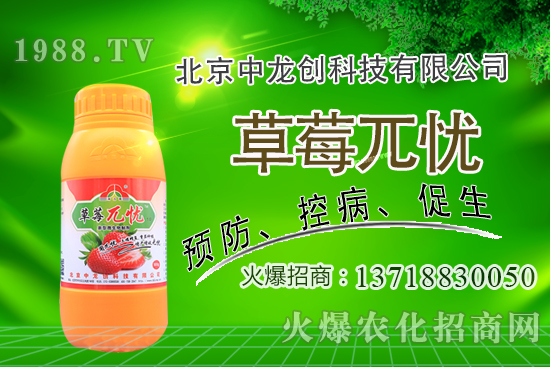 果樹(shù)下適合種植什么中藥材?果園里能套種哪些中藥材?