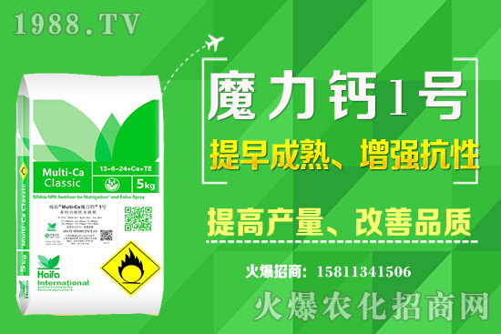 ʮѮmϷNֲʲôˎЩˎٍXߣ