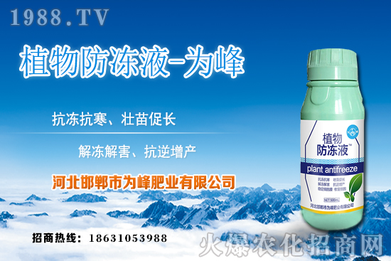 JCLҎ(gu)ЩJCNֲNֲע