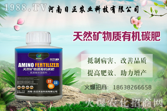 @ѕr(sh)gǺΕr(sh)Д(bio)(zhn)ʲô@ע(xing)