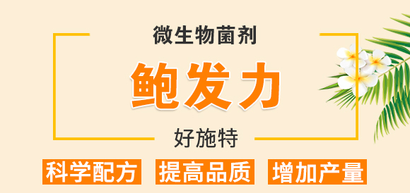 生物有機(jī)多元肥-好施特_01