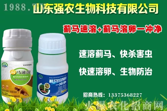 秋冬11月種植什么蔬菜比較合適?蔬菜種植注意事項(xiàng)!