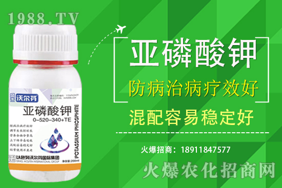 Ҫʲô֮gʲôP(gun)ע