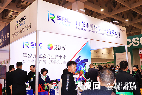 ɽ|2020ɽ|ֲWǈŹ