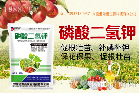 小麥報價!2020年10月7日小麥價格!