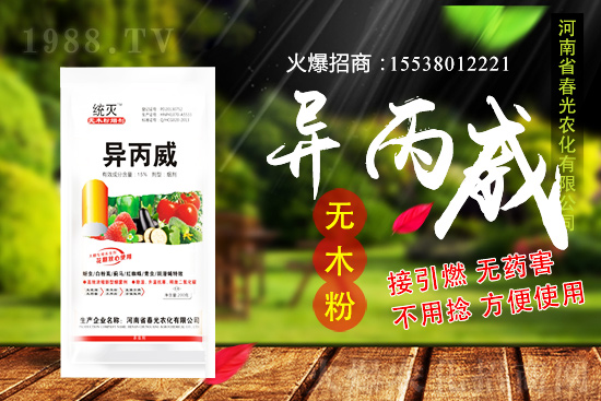 蒜苗種植前景及怎么樣?蒜苗種植要點(diǎn)及田間管理!