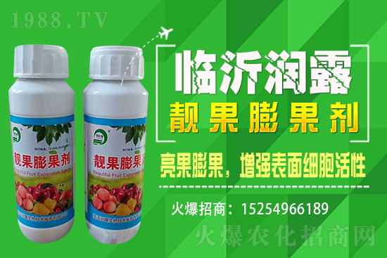 水稻價格野蠻上漲,漲價原因已揭開,能漲到1.6嗎?