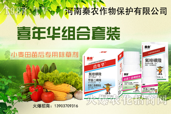 СʲôҪǰݣxʲô݄Ч