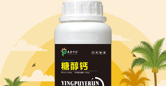 Ӣ~r(nng)I(y)Ƽ޹˾_02