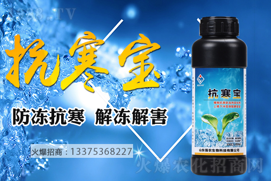 ͜С@c(din)ʩ