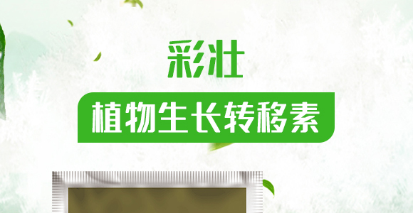 植物生長轉(zhuǎn)移素-彩壯-民德利華_01