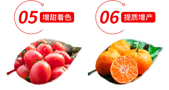 稀土微量元素水溶肥料-果滿園-貝德樂(lè)_07