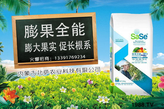 菜椒要怎么種植?菜椒生長條件及種植技術(shù)!