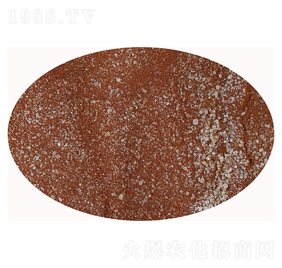 聚谷氨酸護(hù)根型顆粒-活力菌9元素-佰潤肥業(yè)1