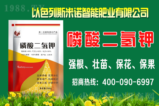 ʲôrgʩٵʩʕrgB