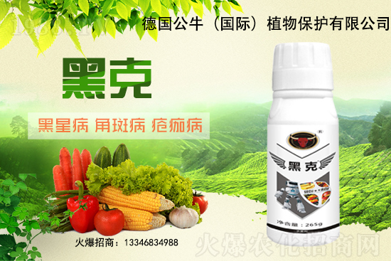 |3Ԫ/1128մ󶹃r