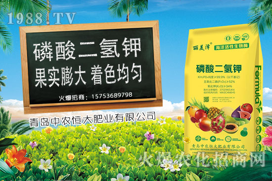 今日小麥價格上漲,后期是否會持續(xù)上漲?