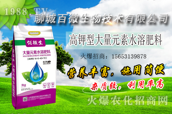 ׌ֲҪЩ׷ʲôԓ