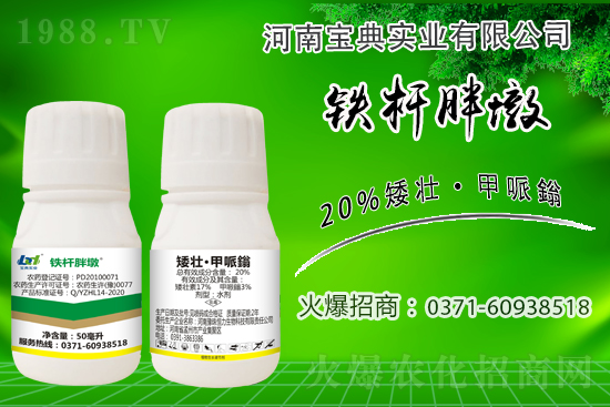 小麥冬前旺長有什么危害?采取什么措施能有效防徒長?
