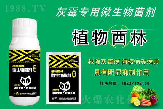 灰霉病不好治的原因,怎么做防治效果好?