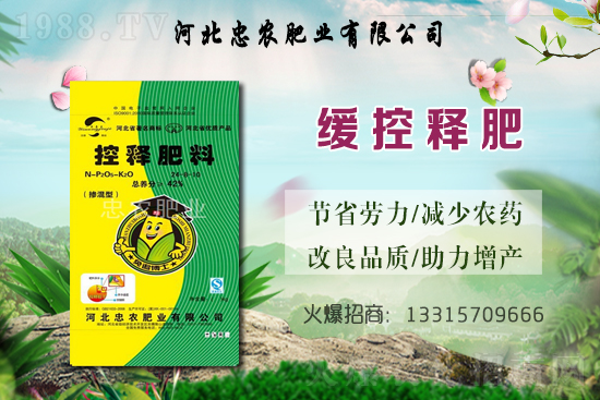 Įa(chn)ģNһشҪöNa(chn)Ƕٽ