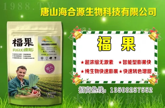 ĿǰС?zhn)?gu)X(qin)һСr(ji)Σ