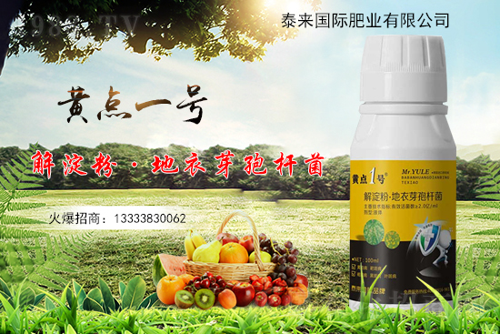 黃瓜葉片起“小黃點”是什么?防治方案有哪些?