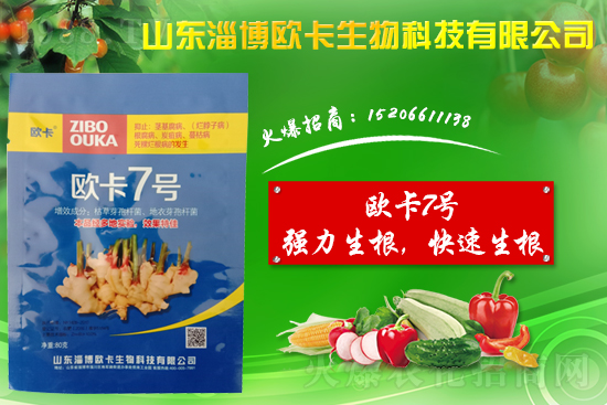 󽪠Ӳʲô󽪠Ӳʲôˎ÷