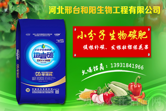 春節(jié)前小麥價格會不會漲?今日小麥價格行情!