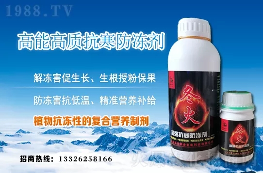 紺²ʩ²ʩʷע헣