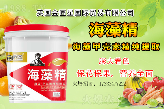 小麥價(jià)格還會(huì)出現(xiàn)大漲嗎?小麥行情總結(jié)!