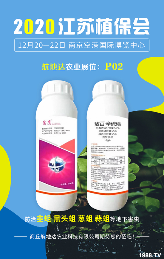 2020Kֲ_r(nng)I(y)@ϲ࣡uBB