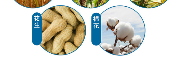 美果膨果型有機(jī)水溶肥料-一畫(huà)農(nóng)業(yè)_09