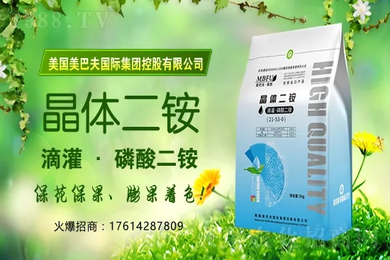 ѹ߲պαˎl(f)߲պעЩ(wn)}