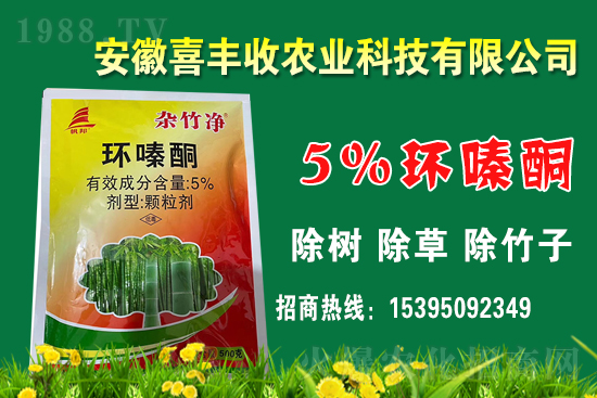 1    h(hun)ͪÙCЩԓΏ䣿h(hun)ͪmＰ÷