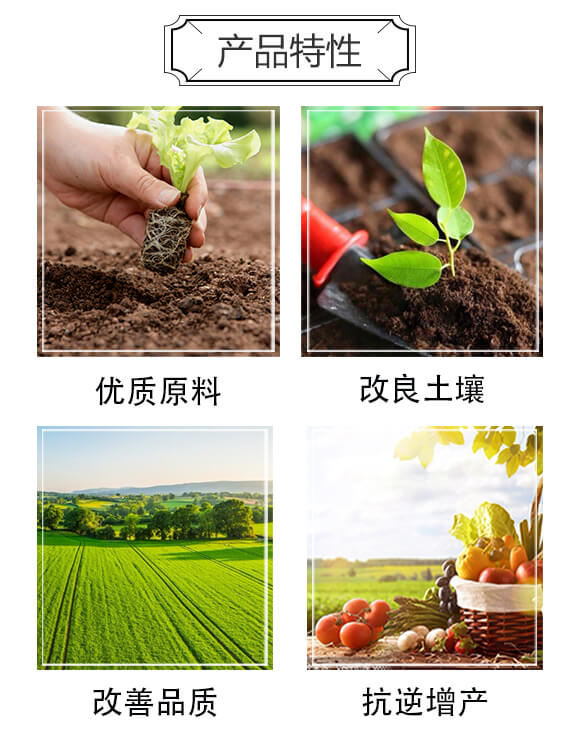 B©L(zhng)Ч-󻯷ʘI(y)_03