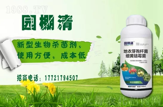 磷酸二氫鉀冬天用效果好嗎?磷酸二氫鉀如何提升植物抗寒能力的?