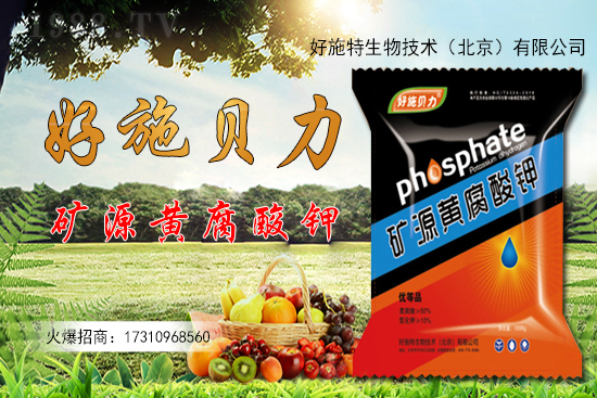 󽪶Xһ󽪷NֲǰNֲg(sh)