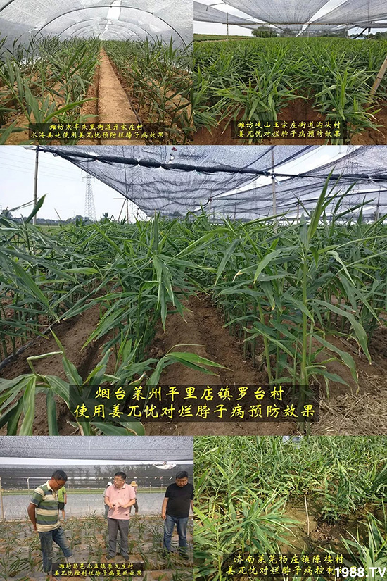     l(f)a(chn)ƷأnʽؠӲÑЧ