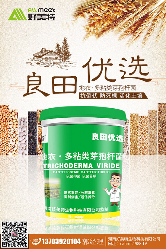 番茄青皮果到底什么原因?番茄青皮果如何有效預防?