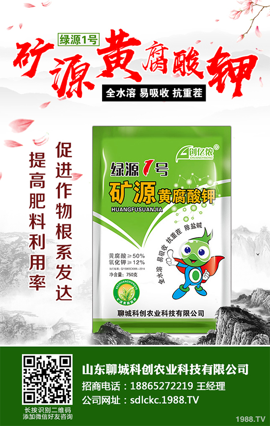 大棚番茄春季該如何澆水?大棚番茄的澆水方法(建議收藏)