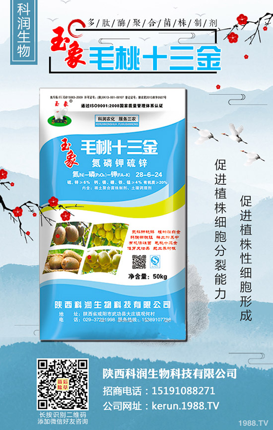     裺Bm(x)qrL(fng)U2020-3-13r