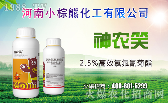 小棕熊化工成功簽約1988.TV,攜手共創(chuàng)新戰(zhàn)績!