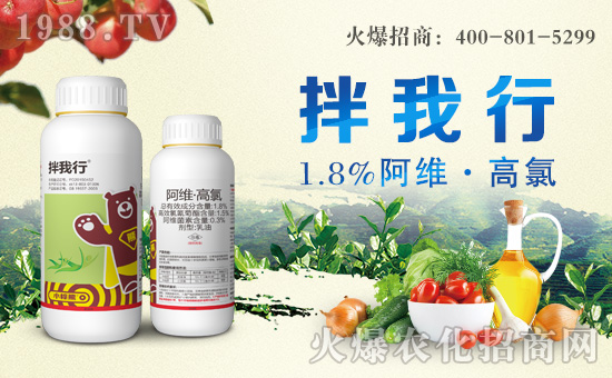 小棕熊化工成功簽約1988.TV,攜手共創(chuàng)新戰(zhàn)績!