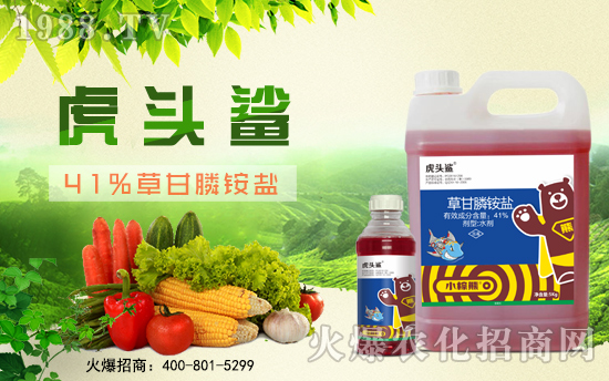 小棕熊化工成功簽約1988.TV,攜手共創(chuàng)新戰(zhàn)績!